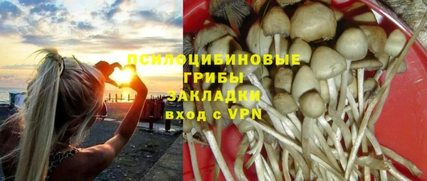 спиды Алексин