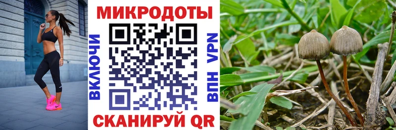 Псилоцибиновые грибы прущие грибы Рыбное